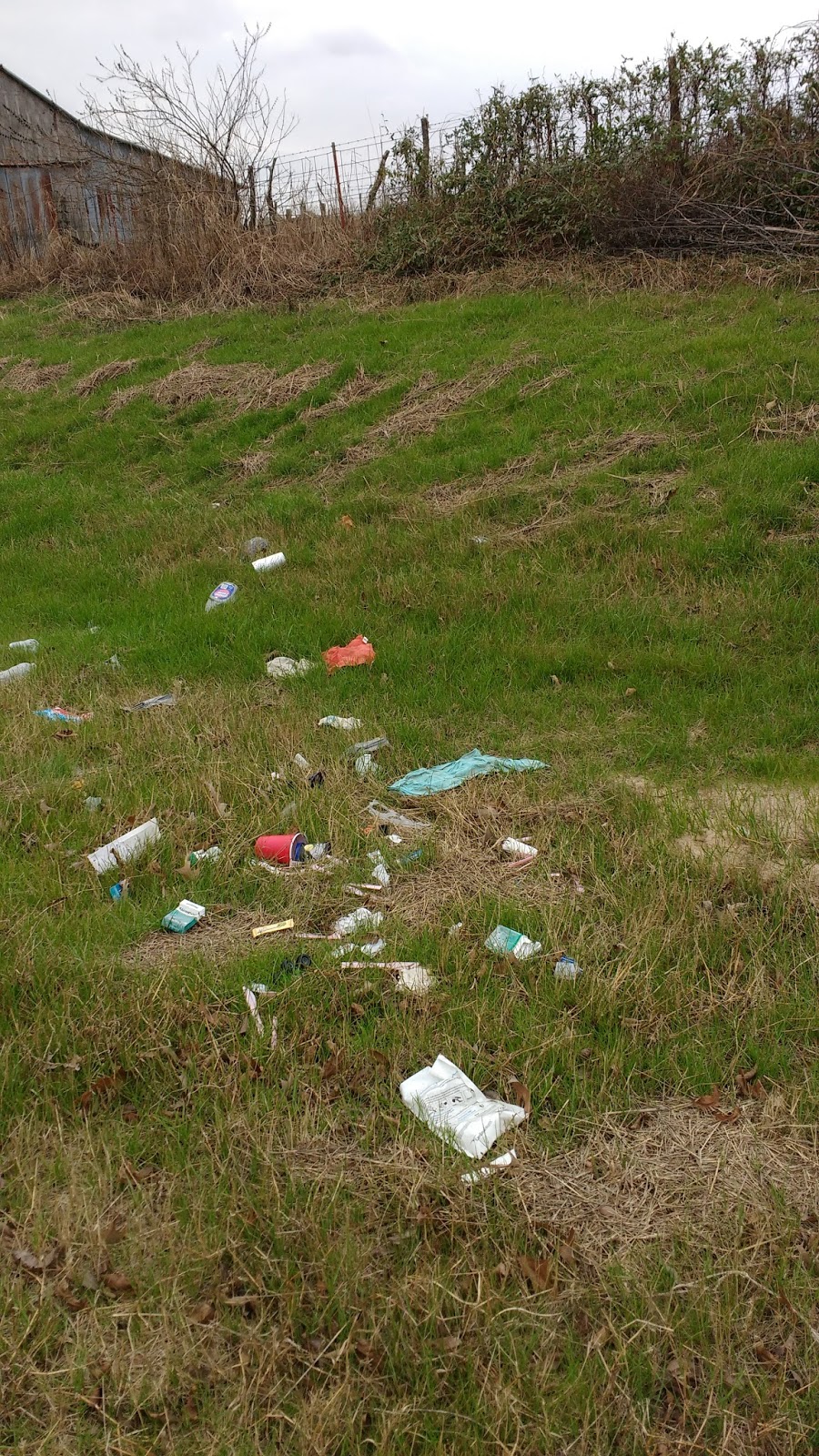 Nature Human Litter, Litter Everywhere!