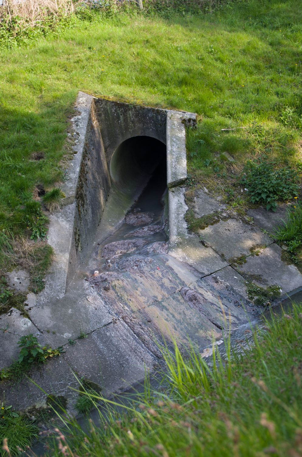 Köttelbecke! Liesenfeldbach Bottrop