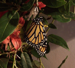 fly ready away getting february