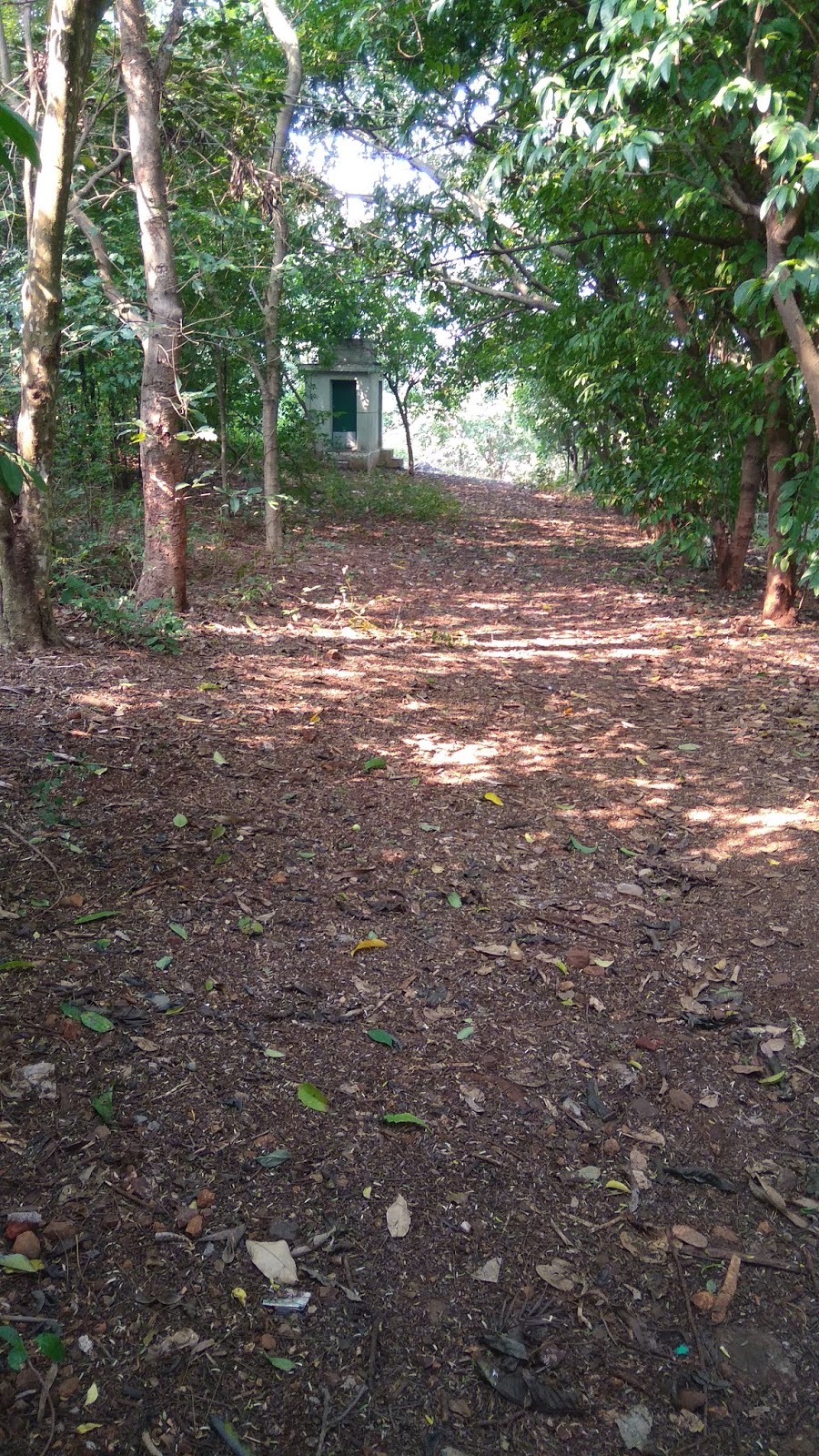 Mee Aditi Sipna A man made Jungle