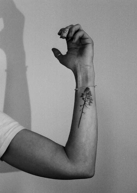 Tatuagens delicadas para as meninas Tatuagens delicadas para as meninas
