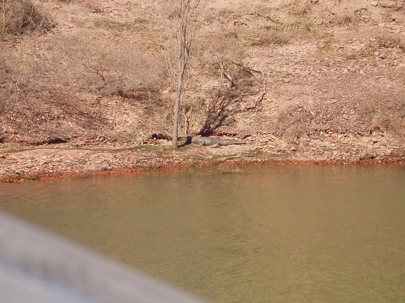 The Travelling Novocastrians Lake Argyle