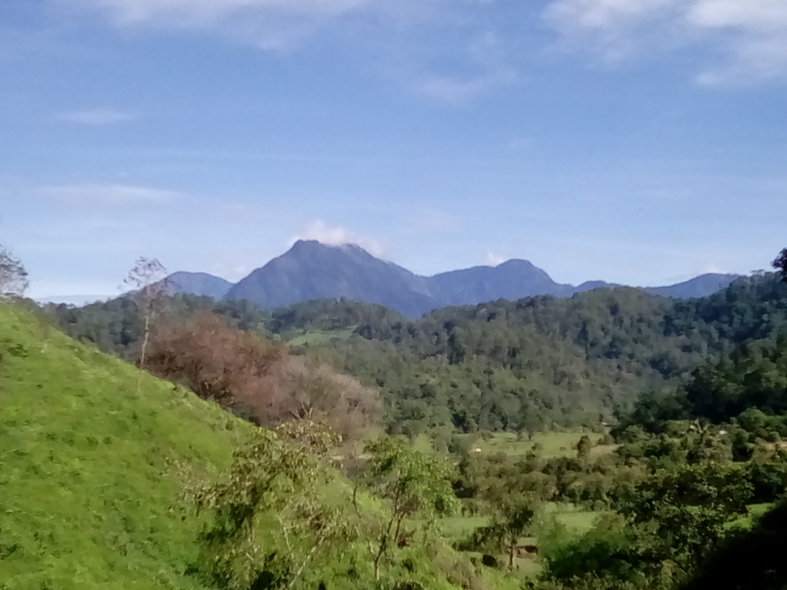 Cerro Cabeza de Venado
