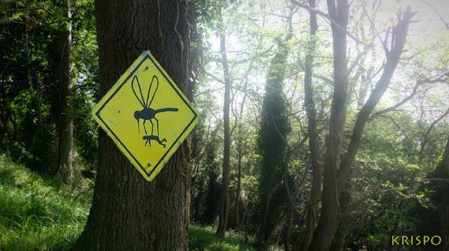 bosque con cartel del planeta de los insectos