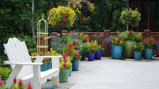 Julie-Ann's World: FABULOUS CONTAINER GARDENS