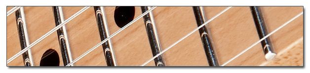 http://www.manualguitarraelectrica.com/p/diferentes-tipos-trastes.html