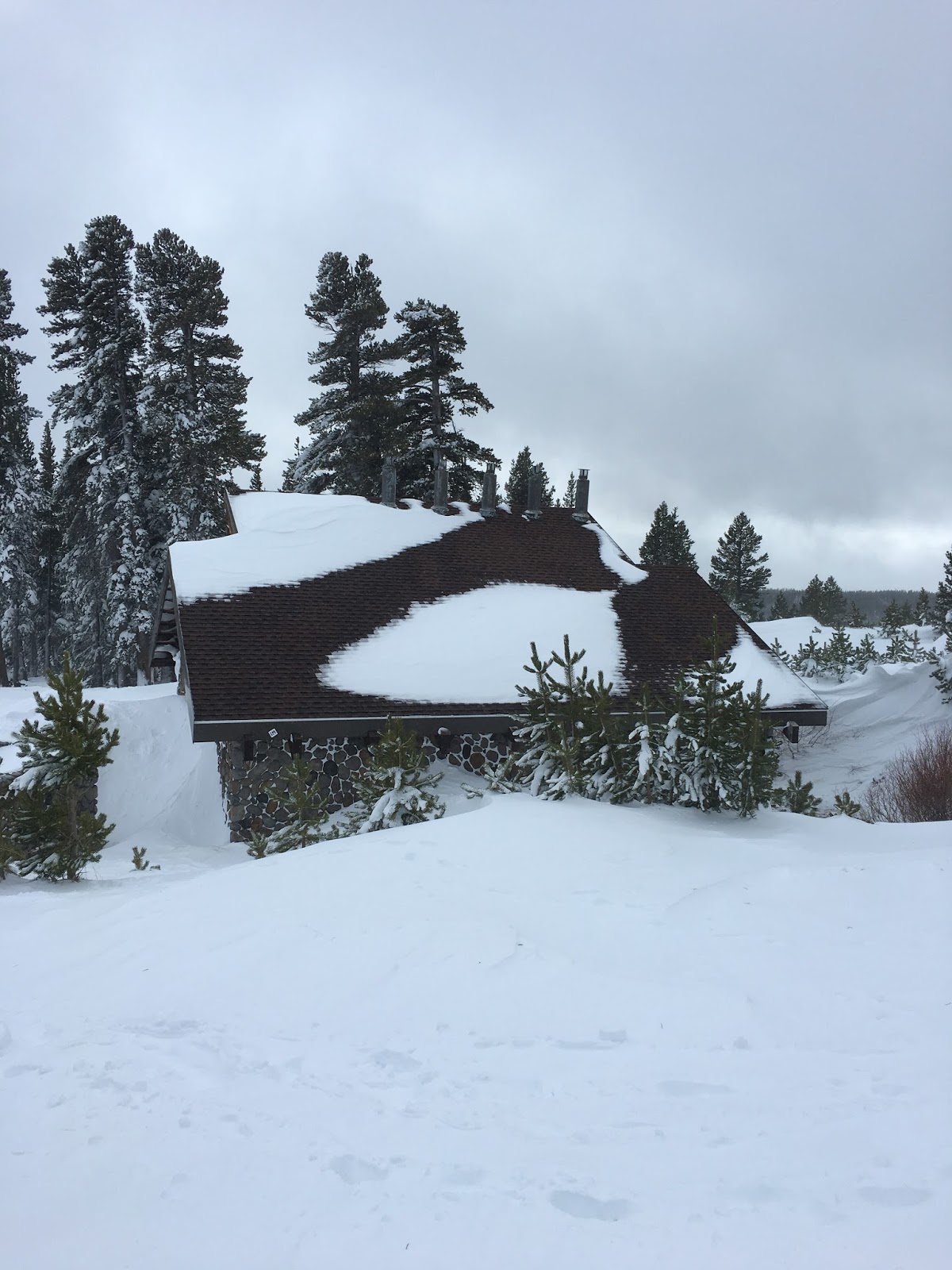 Carful of Kids FREE North Lake Tahoe SleddingTahoe Meadows