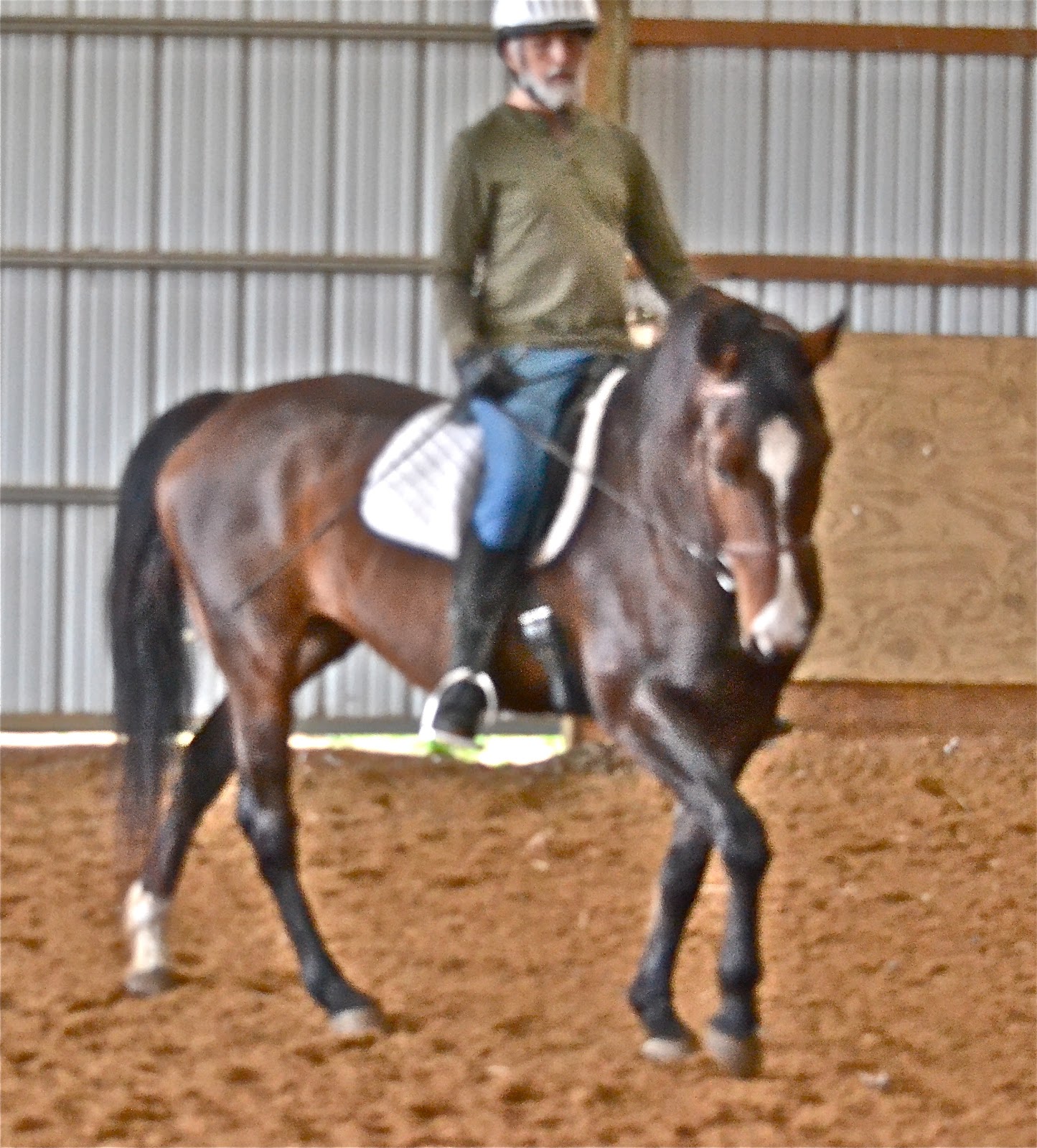 Doc Horse Tales About Quantum Storytelling