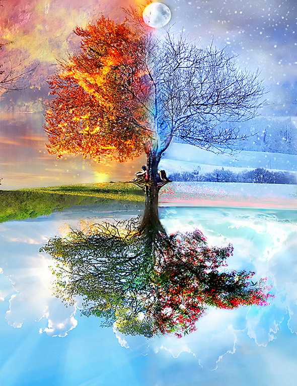 Digital Photography Art Digital Photography Art