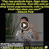 Watch: Uson Expose Sen. Poe's Statement on Trillanes' Amnesty Issue (Diploma Walang Bisa Kapag Nawala)