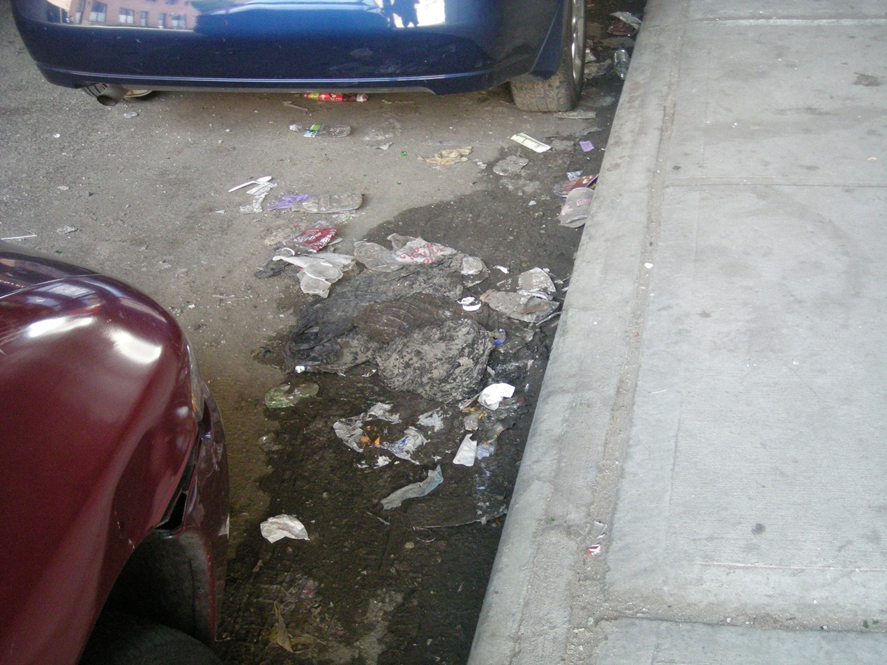 Queens Crap Jamaica trash problem continues