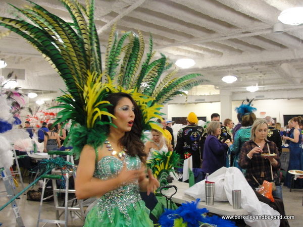 mardi gras dresses lake charles
