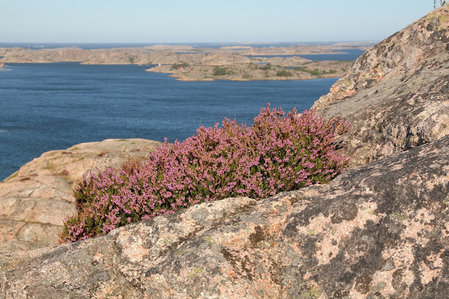 Fjällbacka Vetteberget Kungsklyfta Fjällbacka Vetteberget Kungsklyfta
