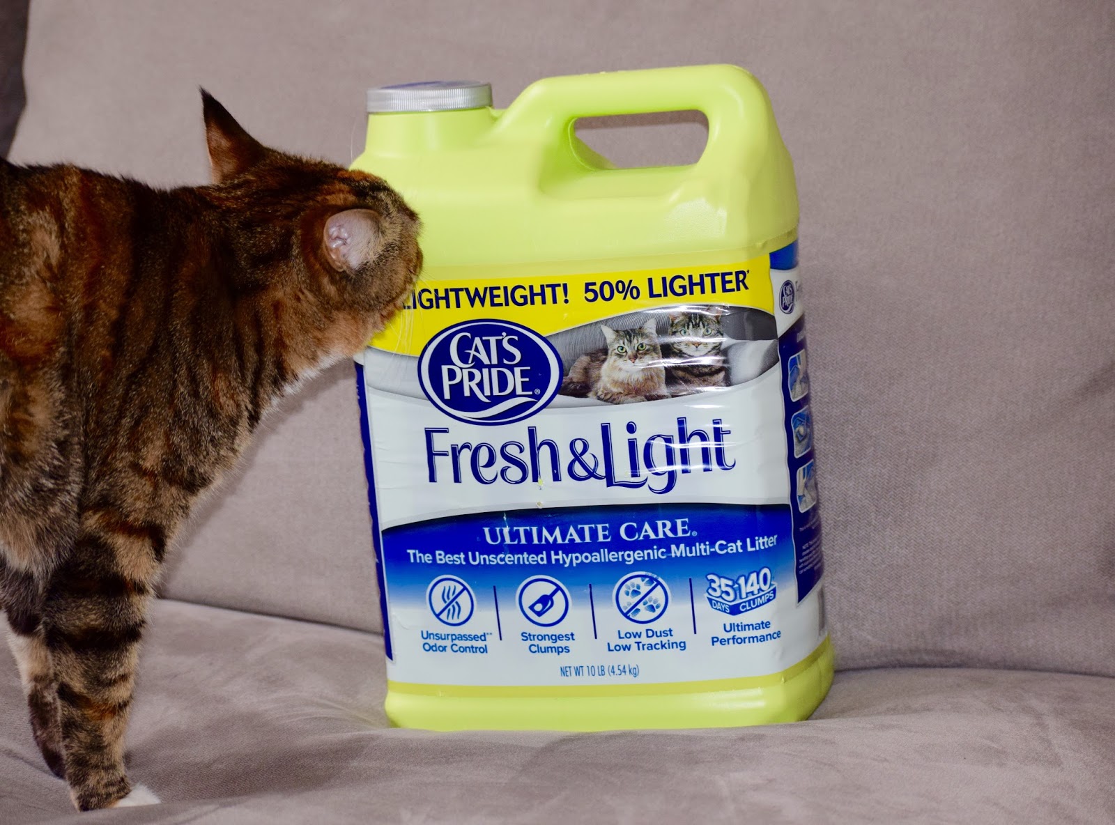 Cait's Cozy Corner Helping My Cats One Green Jug At A Time