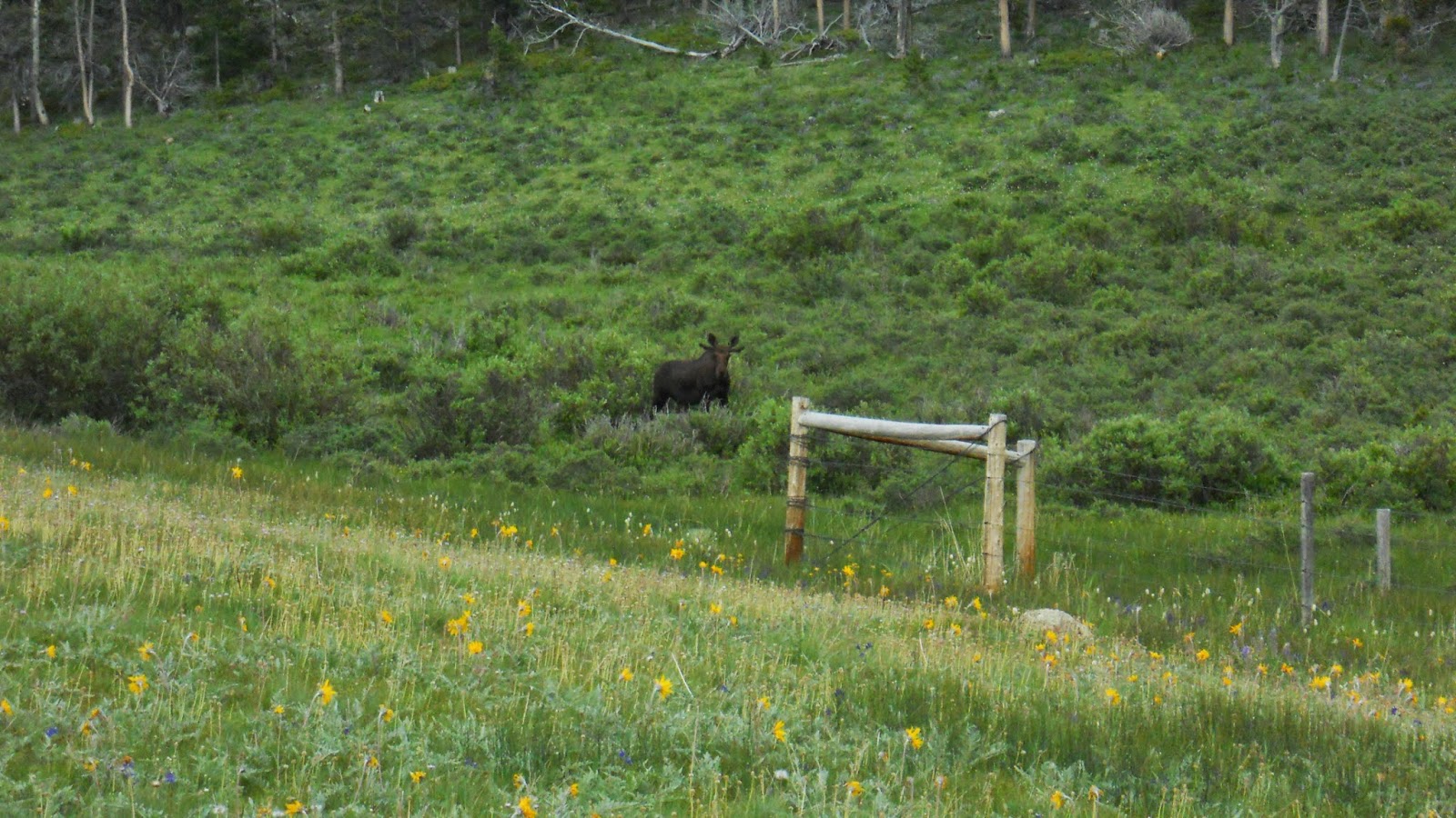 National Forest Camper Circle Park Campground
