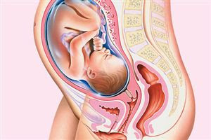35 haftalık gebelik görüntüsü