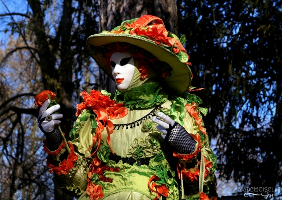 Carnaval vénitien d'Annecy 2017 - Photographie 21eme édition - Costume - Masque