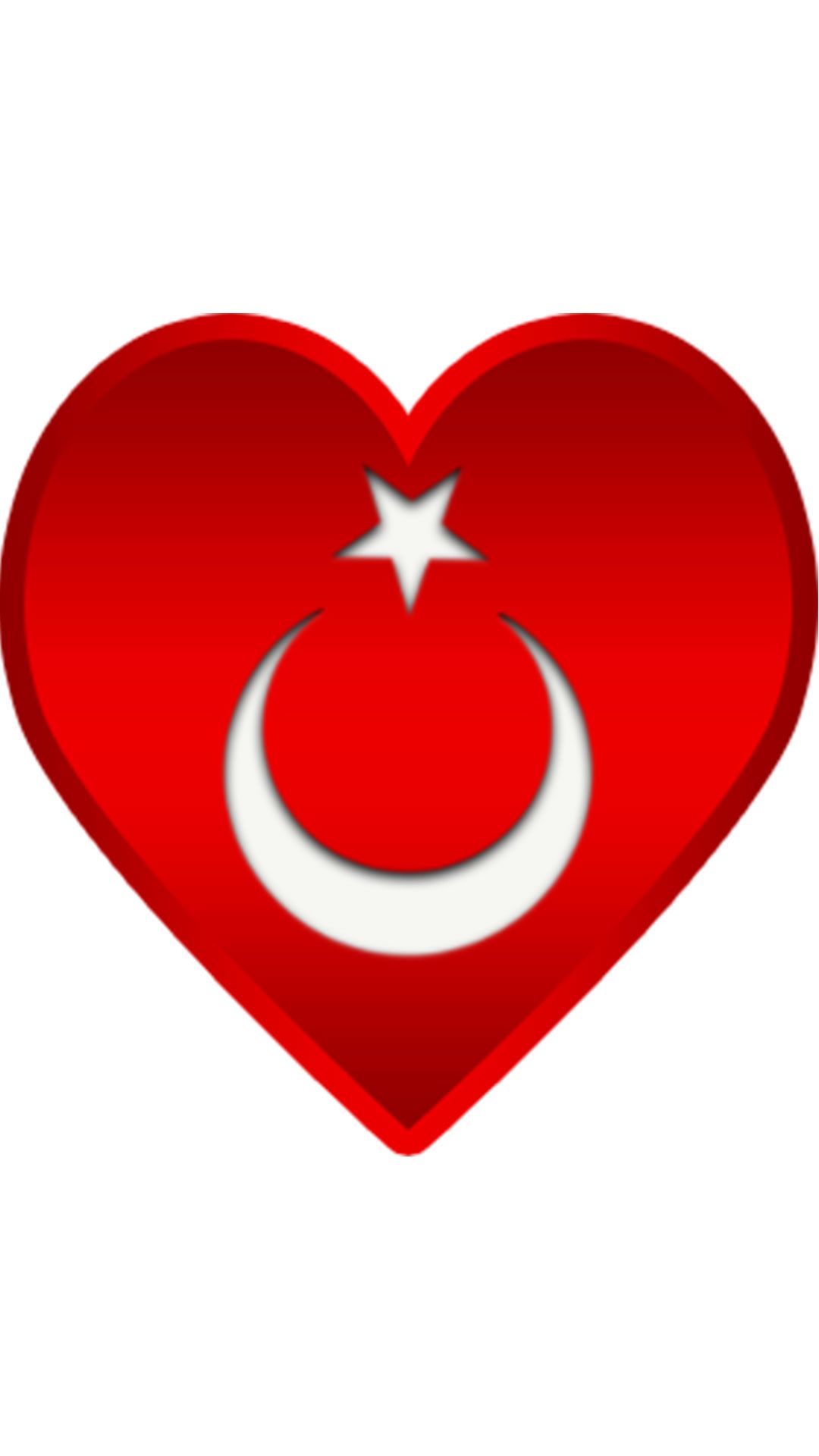 Kalpli turk bayragi 2