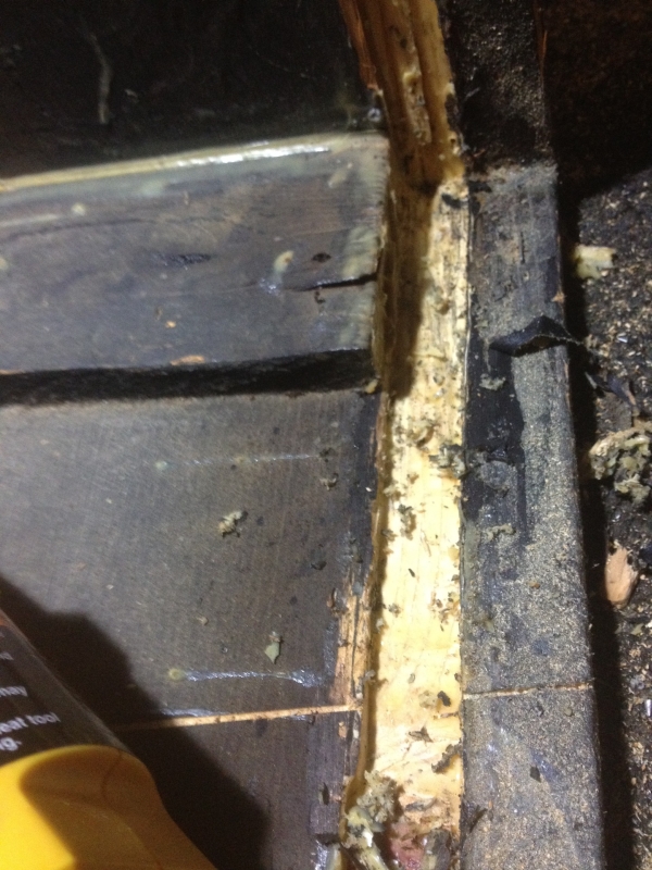 Pro Reverb restoration home electronics