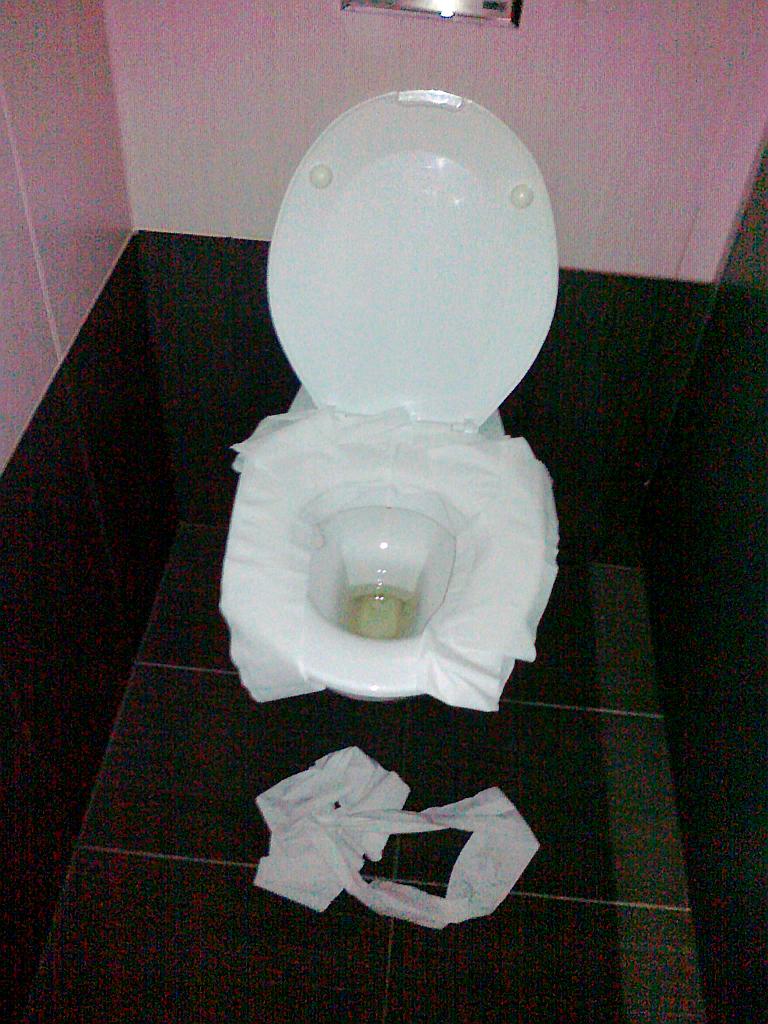 SpideY's MobLog Reloaded Toilet Manners