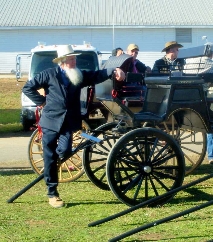 Pratie Place Dixie Draft Horse, Mule and Carriage Auction, Troutman NC