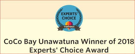 Experts' Choice Award