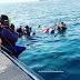 Bangsring Underwater, Mengeksplor Keindahan Panorama Alam Bawah Laut