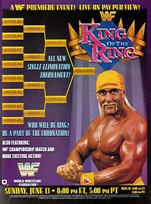 Enuffa.com: The History of WWE King of the Ring (1993)