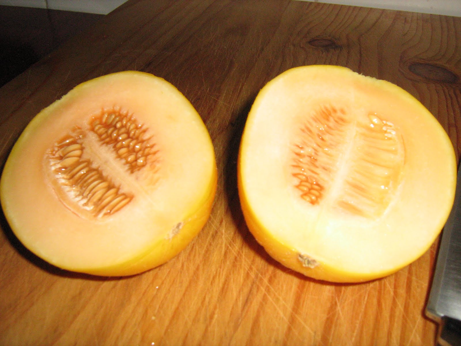 the rockmelon that was almost a watermelon
