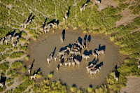 Panci Makgadikgadi Botswana, Afrika