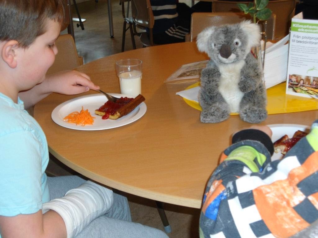 Klass 6 Bryngelstorpskolan Koala i Katrineholm