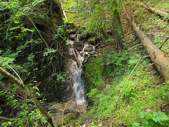 Sokolia Dolina. Sokolia Dolina.