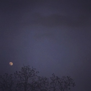iPhone photo of the moon on instagram