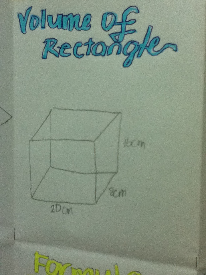 873 Math Blog (2011): Camille's Surface Area