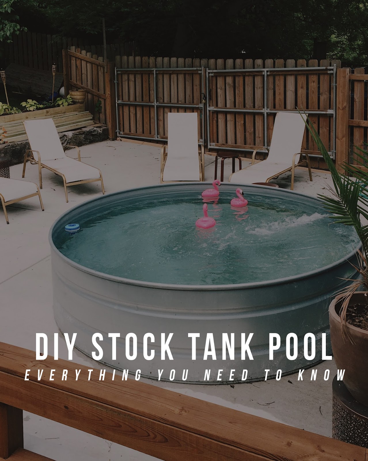 DIY Stock Tank Pool: Everything You Need To Know