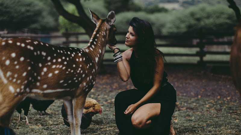 Lady and the Deer HD