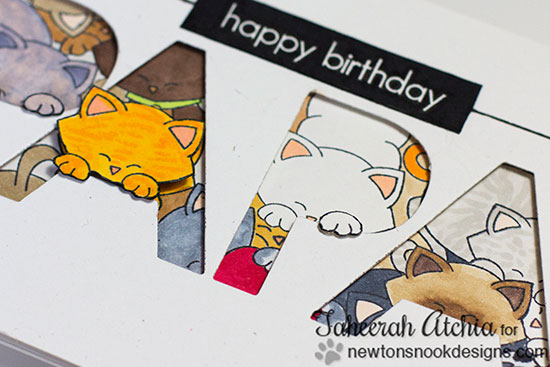 Cat card for Papa by Taheerah Atchia using Newton's Nook Designs Stamps