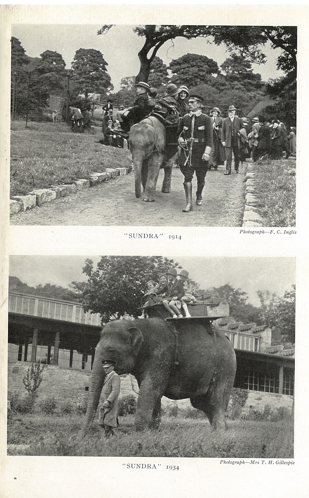 Zoo News Digest Edinburgh Zoo Centenary Timeline
