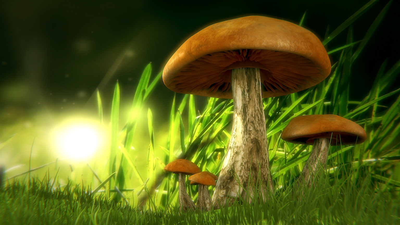 Грибы для людей и природы. Живые грибы:. Грибы обои. Растения и грибы. Гриб цветок.