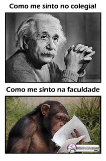Resultado de imagem para do colegial à faculdade
