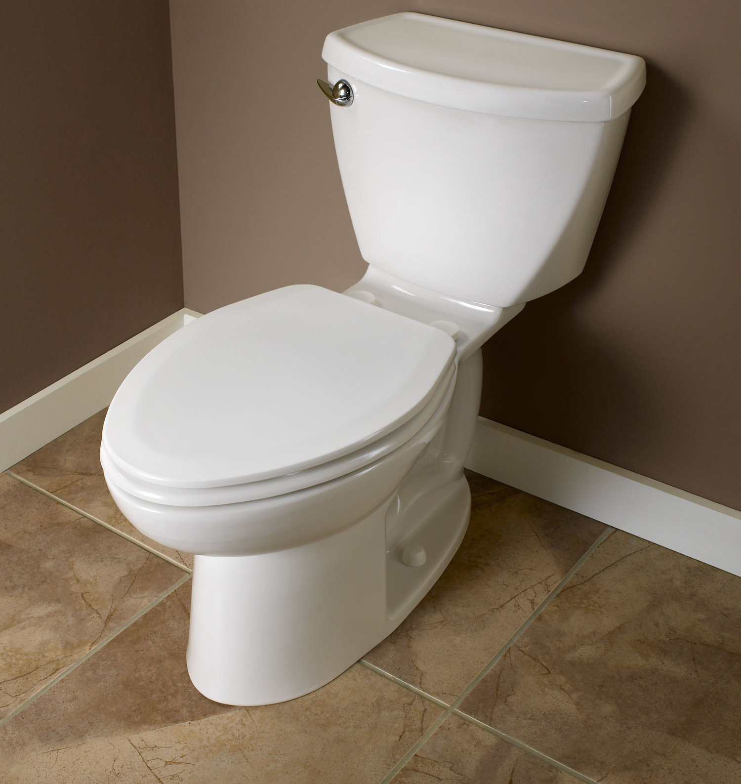 Toilet Buying Guide