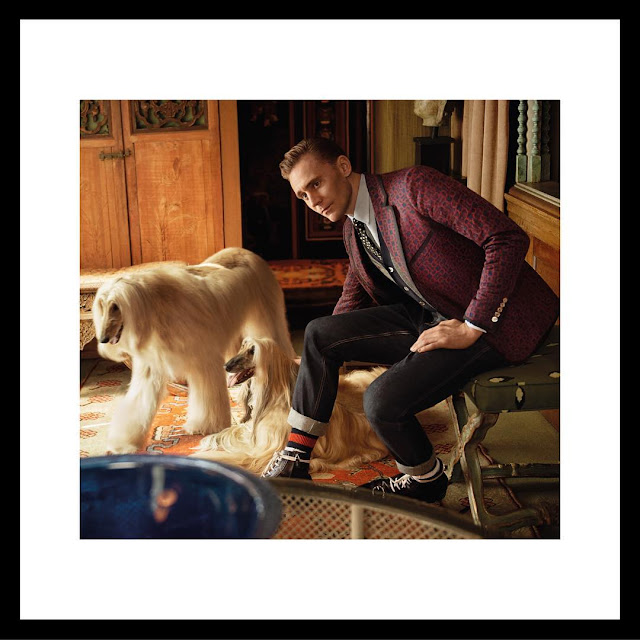 Fotografias de la nueva campaña de Gucci con Tom Hiddleston tom hiddleston, gucci, campaign, fashion, alessandro michele