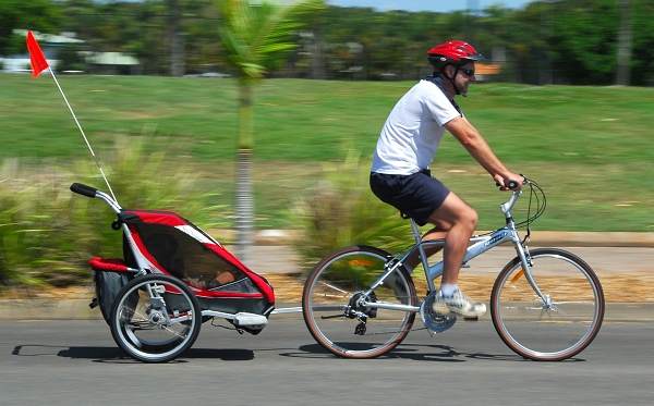 gazelle cabby baby
