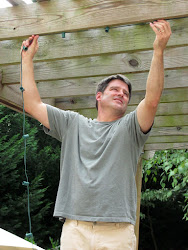 lights string deck hang ceiling fan around run vine cottage played several ways different