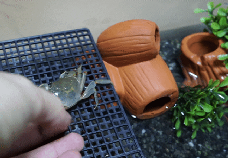 57979538c46eef313.gif