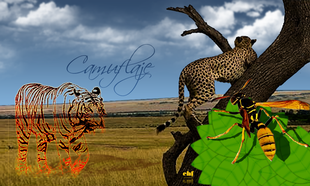 Camuflaje de rayas y manchas rayas y manchas