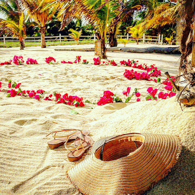 Remax Vip Belize : beach weddings and eye candy pics