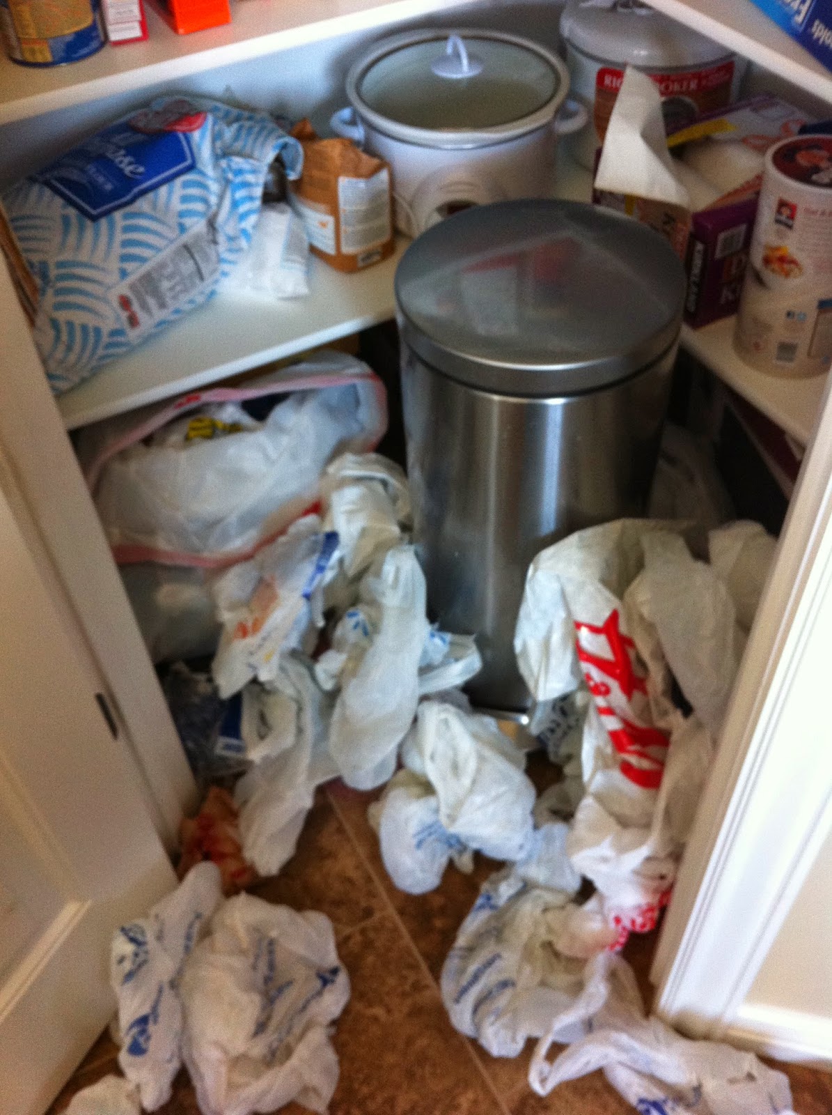 Relishing The Moments Fast and Easy Grocery Bag Storage