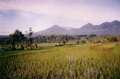 Gunung Papandayan Garut Jawa Barat Gunung Papandayan