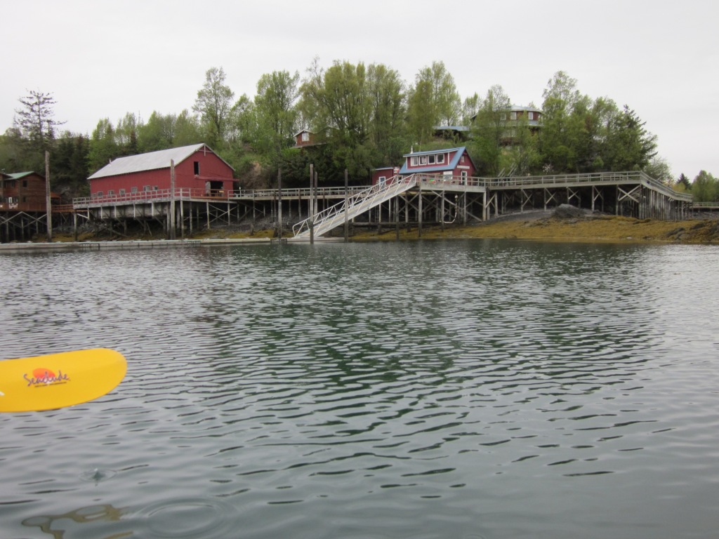 each day an adventure in alaska halibut cove...act three